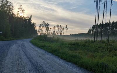 kuvassa soratie ja metsää